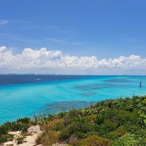 Meet your Posher, Rachael